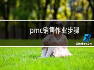 pmc销售作业步骤