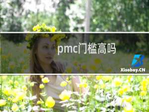 pmc门槛高吗