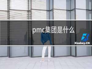 pmc集团是什么
