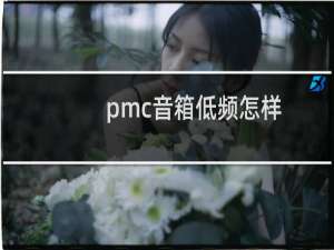 pmc音箱低频怎样