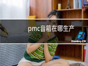 pmc音箱在哪生产