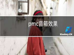 pmc音箱效果