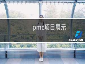 pmc项目展示