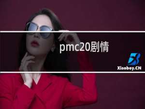 pmc 剧情