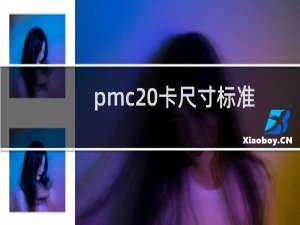 pmc 卡尺寸标准