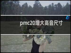 pmc 增大高音尺寸