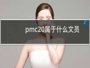 pmc 属于什么文员