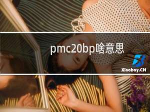 pmc bp啥意思