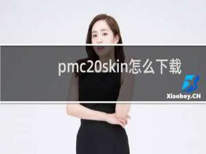pmc skin怎么下载