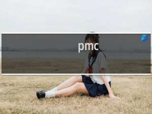 pmc-1200教程