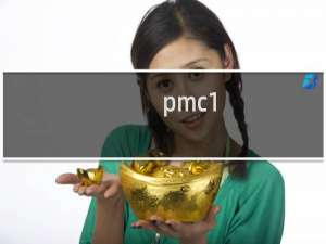 pmc1.71好吗