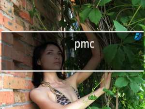 pmc_port在哪