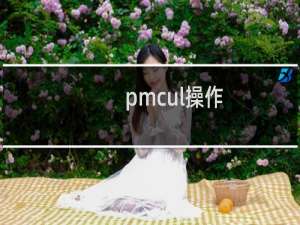 pmcul操作