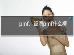 pmf、饭圈pmf什么梗