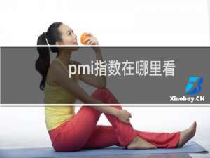 pmi指数在哪里看（pmi指数）