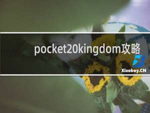 pocket kingdom攻略