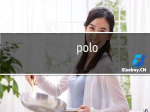 polo（sport是什么牌子中文名叫什么）