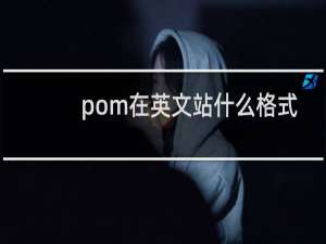 pom在英文站什么格式