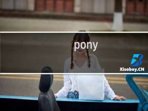 pony effect口红好吗
