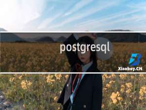 postgresql 查询数据库