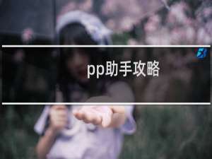 pp助手攻略