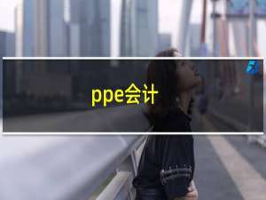 ppe会计