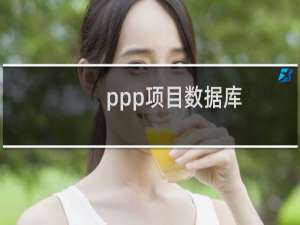 ppp项目数据库