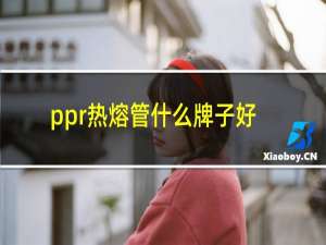 ppr热熔管什么牌子好