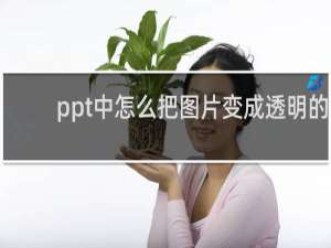 ppt中怎么把图片变成透明的