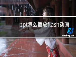 ppt怎么播放flash动画