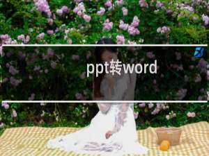 ppt转word（ppt转word）