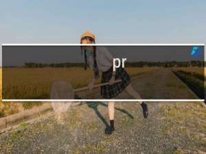 pr- 男装价格