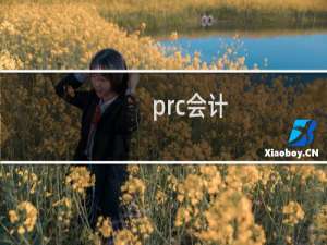 prc会计