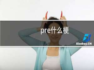 pre什么梗