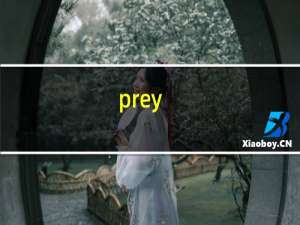 prey. 攻略