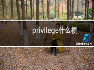 privilege什么梗