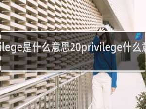 privilege是什么意思 privilege什么意思什么梗