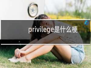 privilege是什么梗 privilege文学什么梗