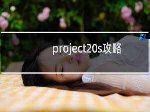 project s攻略
