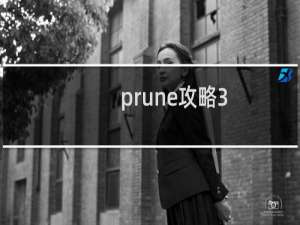 prune攻略3.8