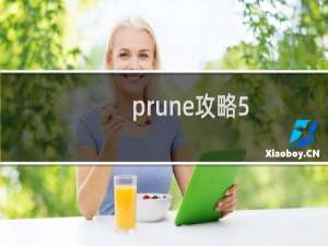 prune攻略5.4攻略