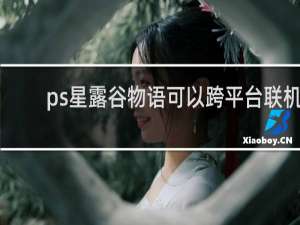 ps星露谷物语可以跨平台联机