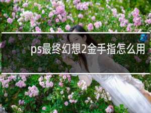 ps最终幻想2金手指怎么用