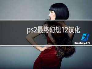 ps2最终幻想12汉化