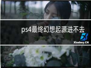 ps4最终幻想起源进不去