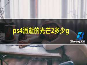 ps4消逝的光芒2多少g