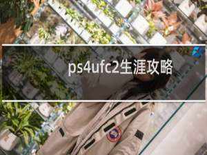 ps4ufc2生涯攻略