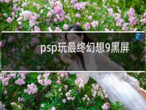 psp玩最终幻想9黑屏