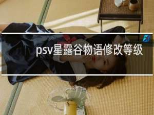 psv星露谷物语修改等级