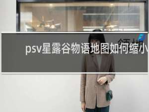 psv星露谷物语地图如何缩小